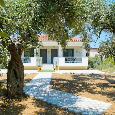 Antoneli Grove * Limenas (Thasos)